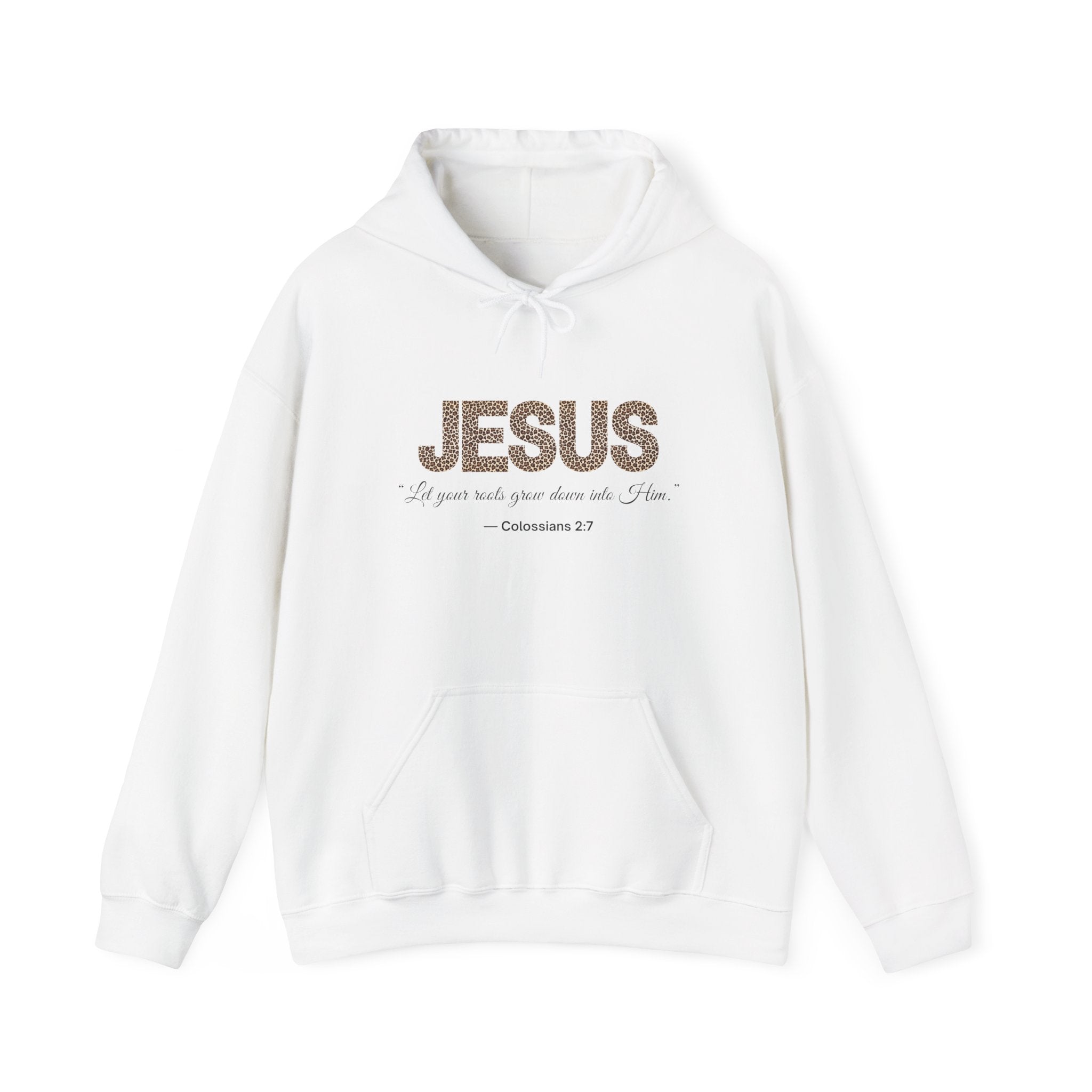 Jesus Hoodie – “I Pray with You When You’re Alone” (Colossians 2:3)