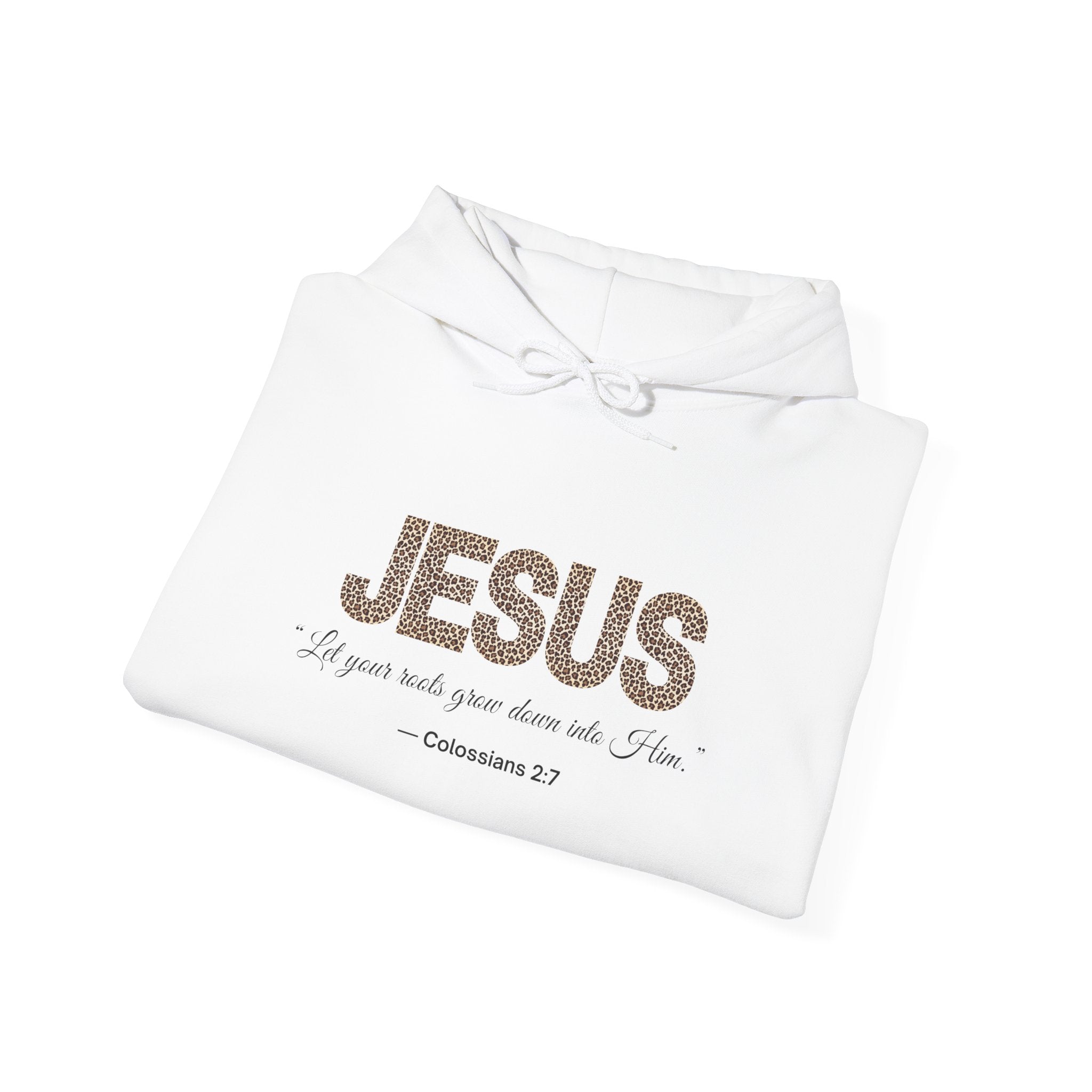 Jesus Hoodie – “I Pray with You When You’re Alone” (Colossians 2:3)
