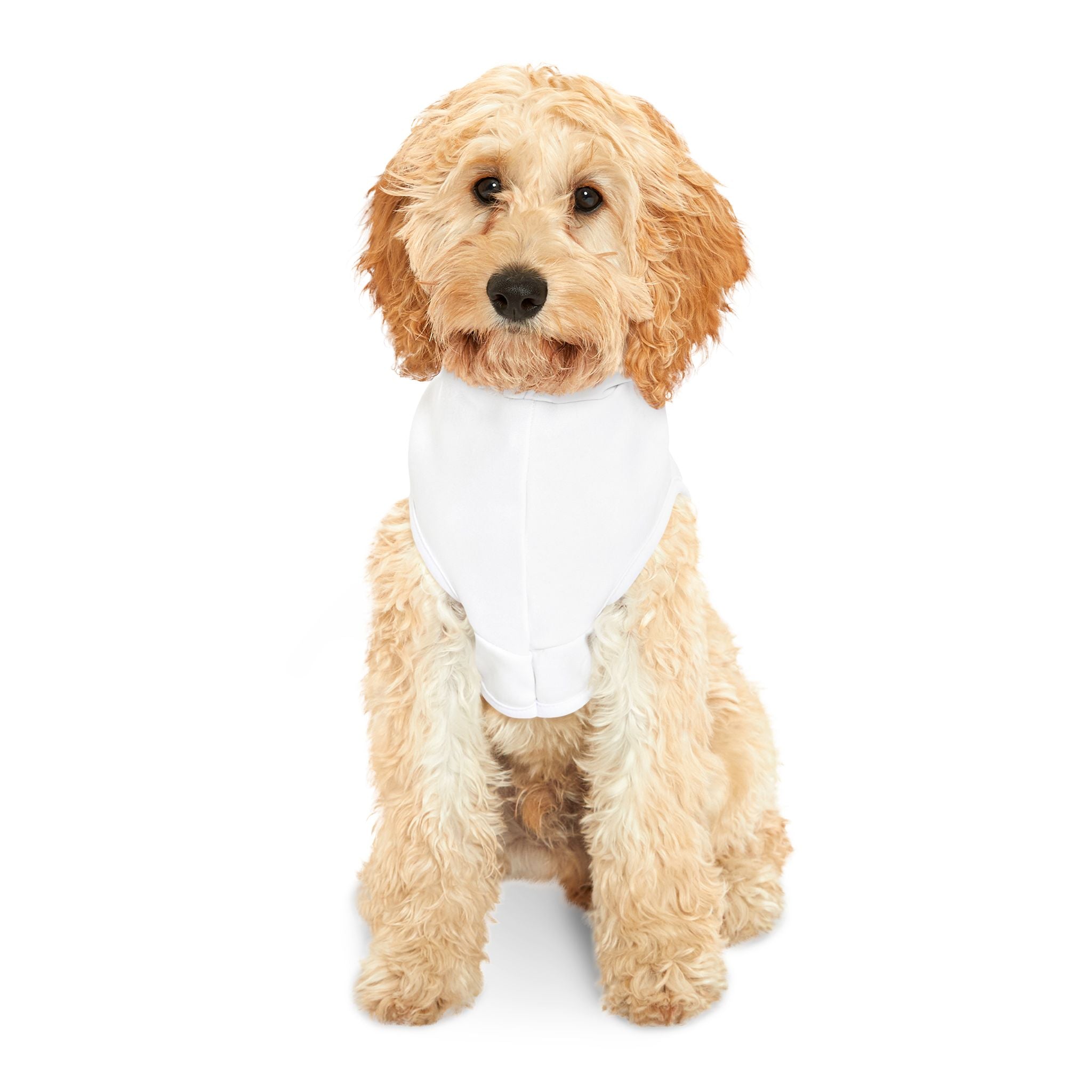 Pet Hoodie — "Bark & Believe" Dog Hoodie, Inspirational Pet Sweatshirt for Small Dogs
